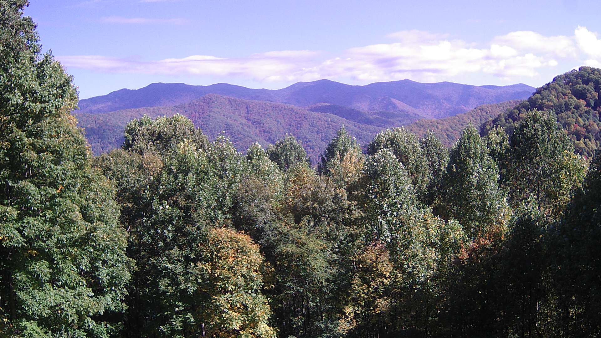 click for next image... slideshow image