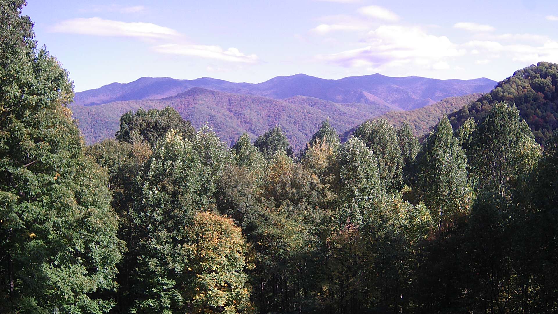 click for next image... slideshow image