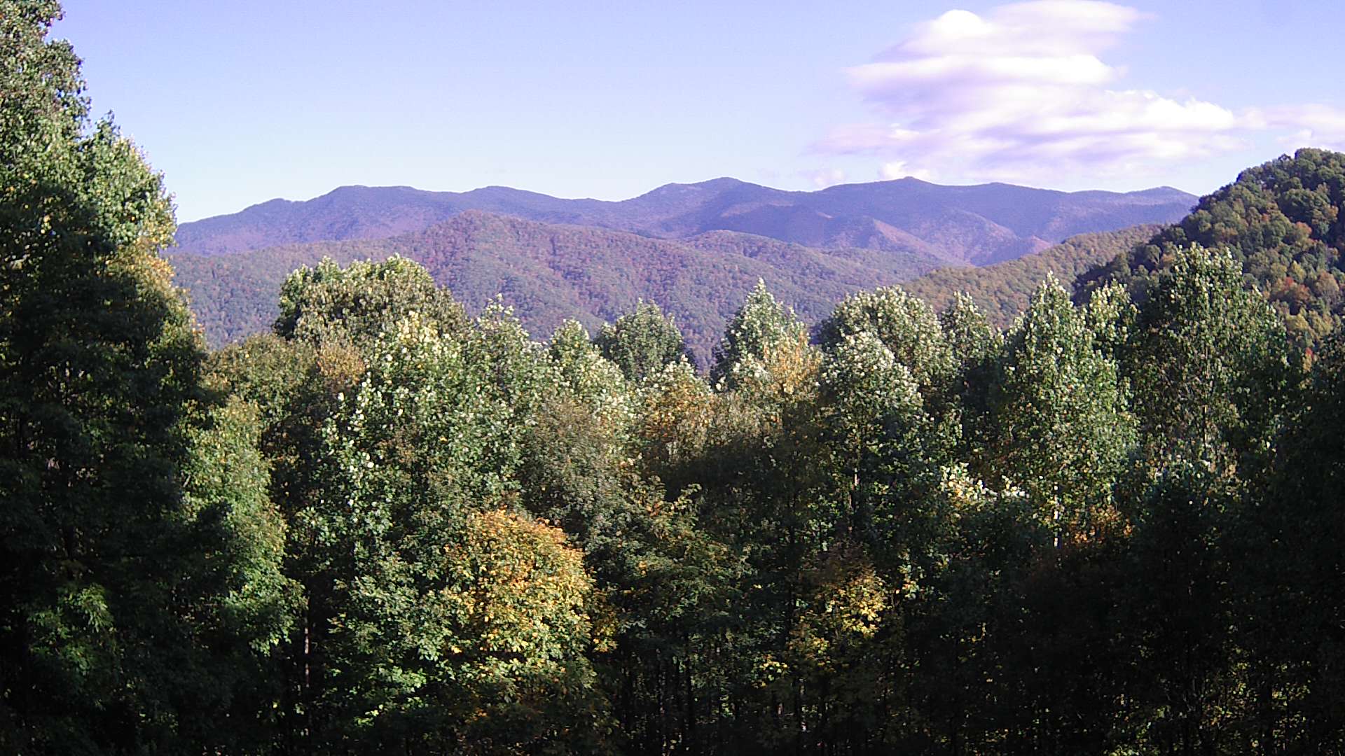 click for next image... slideshow image