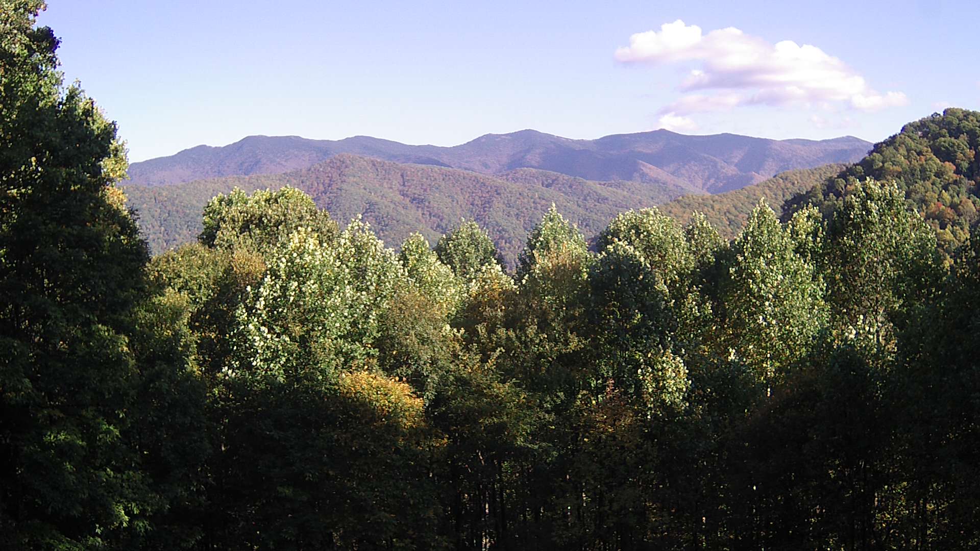 click for next image... slideshow image