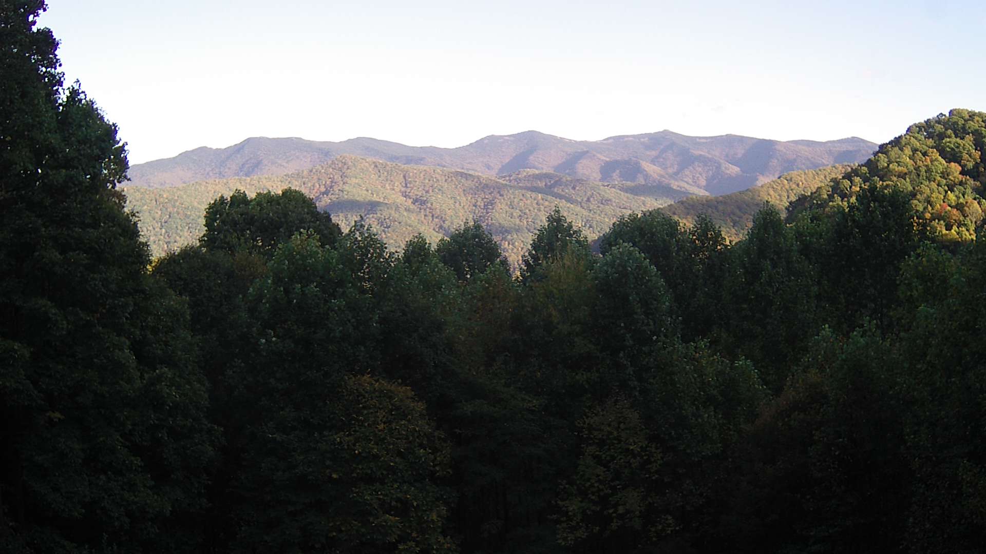 click for next image... slideshow image