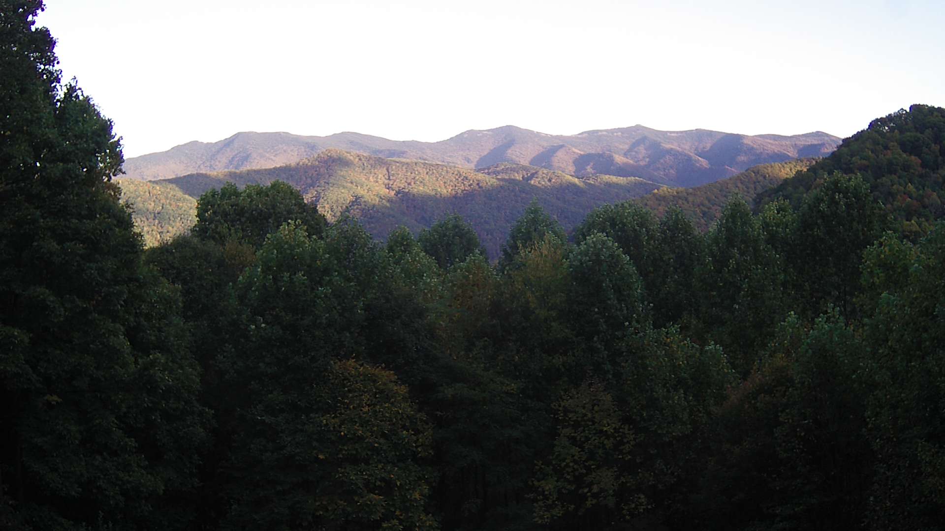 click for next image... slideshow image