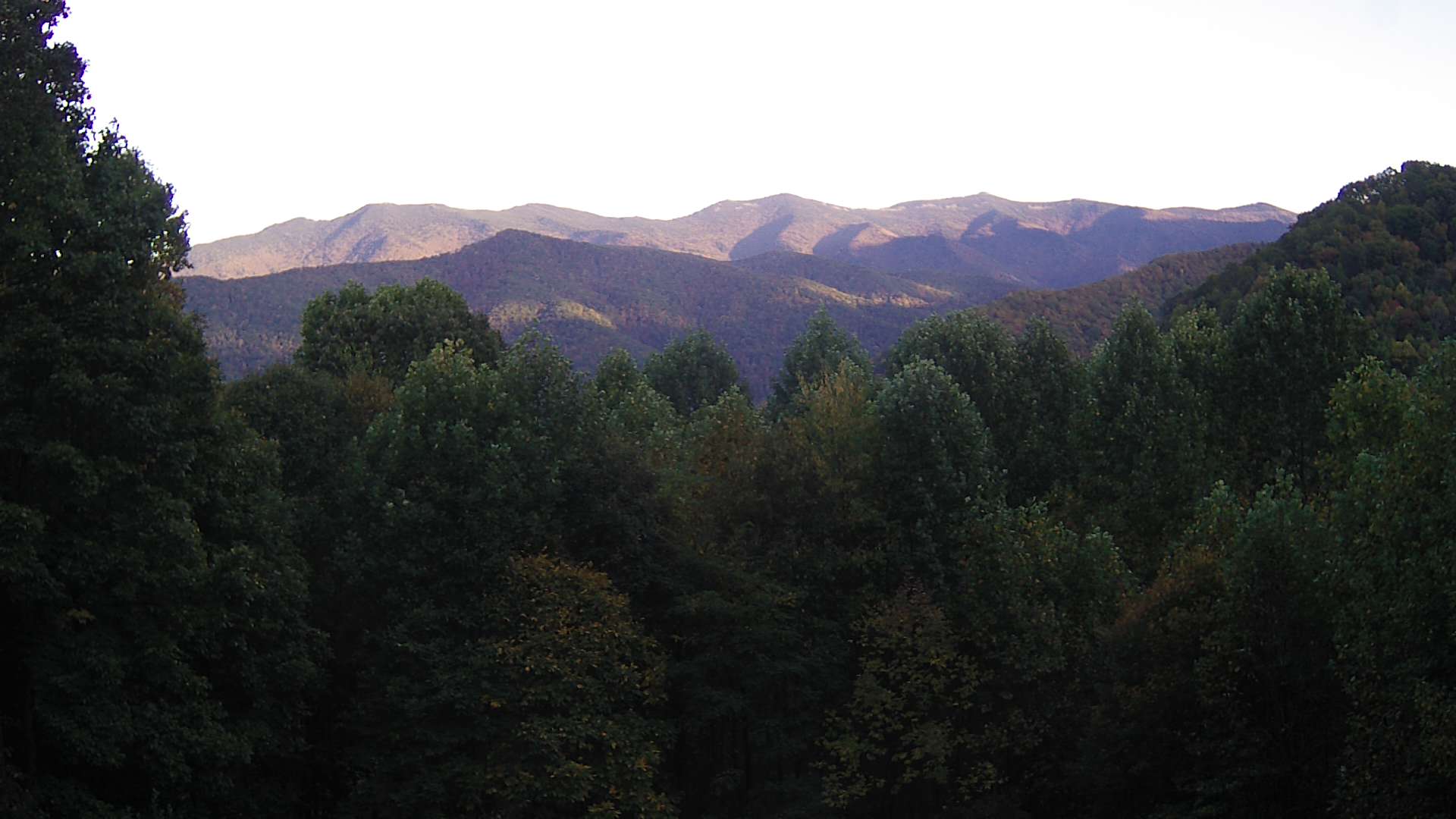 click for next image... slideshow image