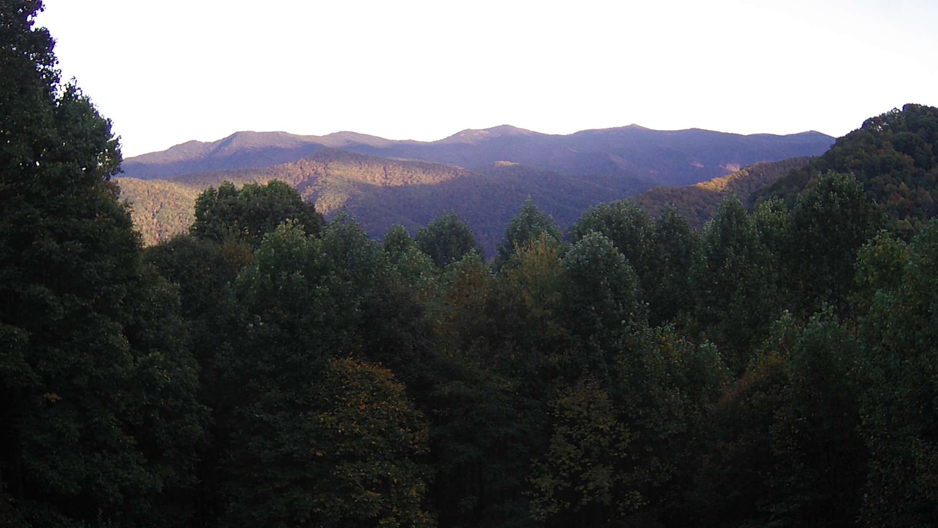 click for next image... slideshow image