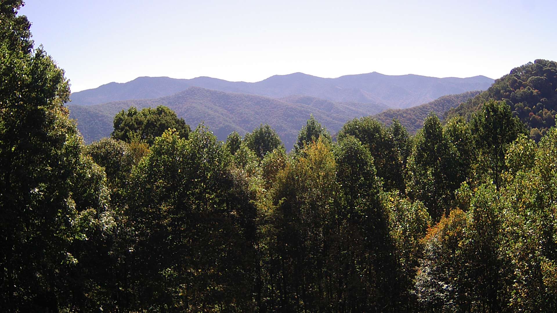 click for next image... slideshow image