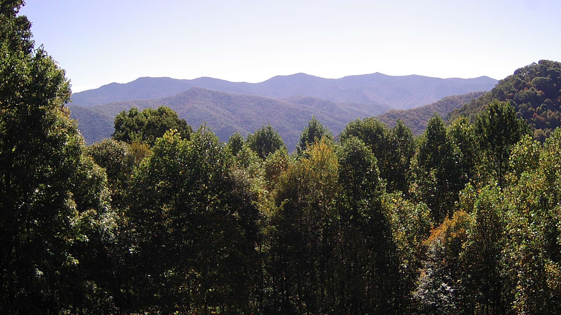 click for next image... slideshow image