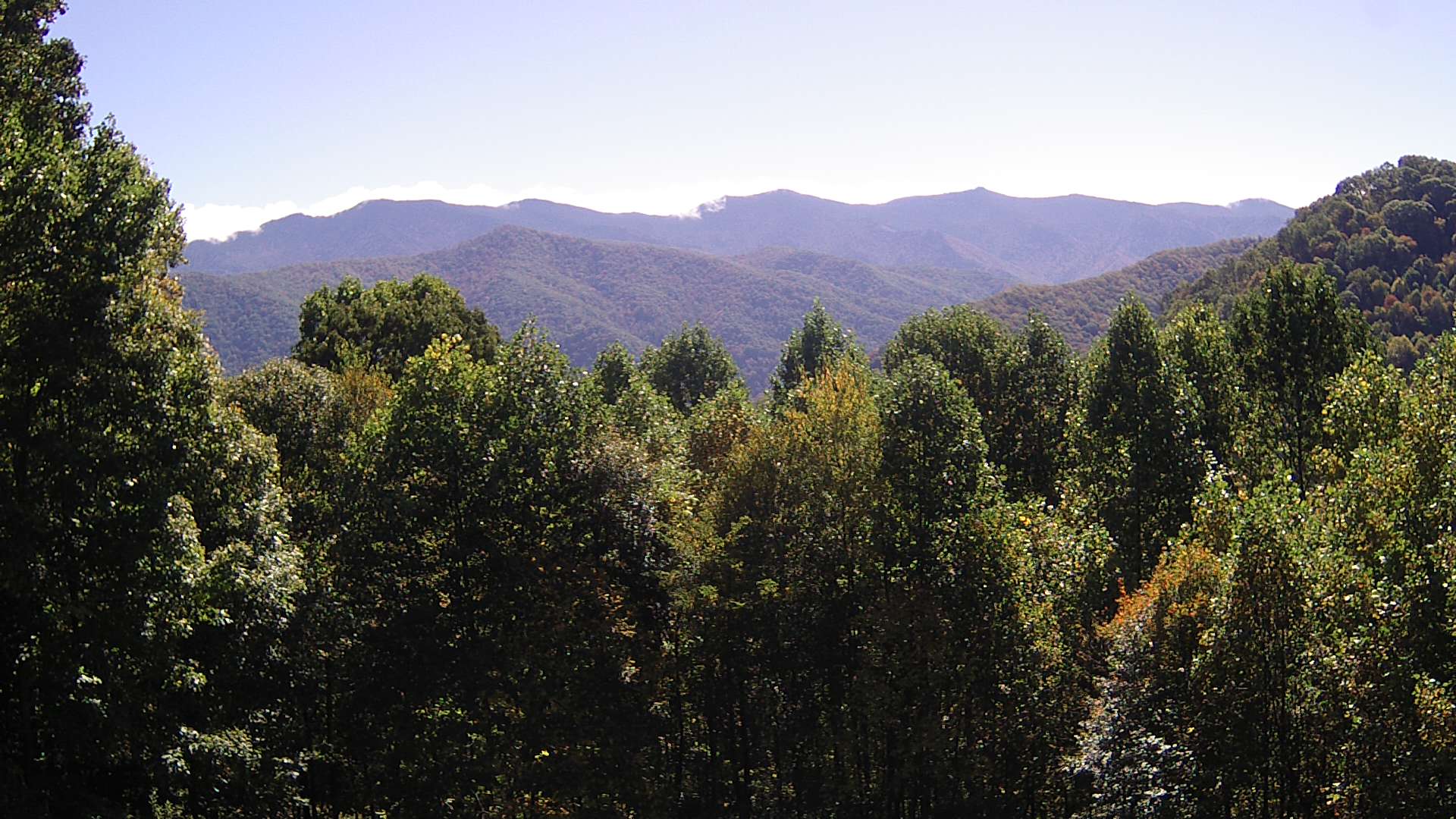 click for next image... slideshow image