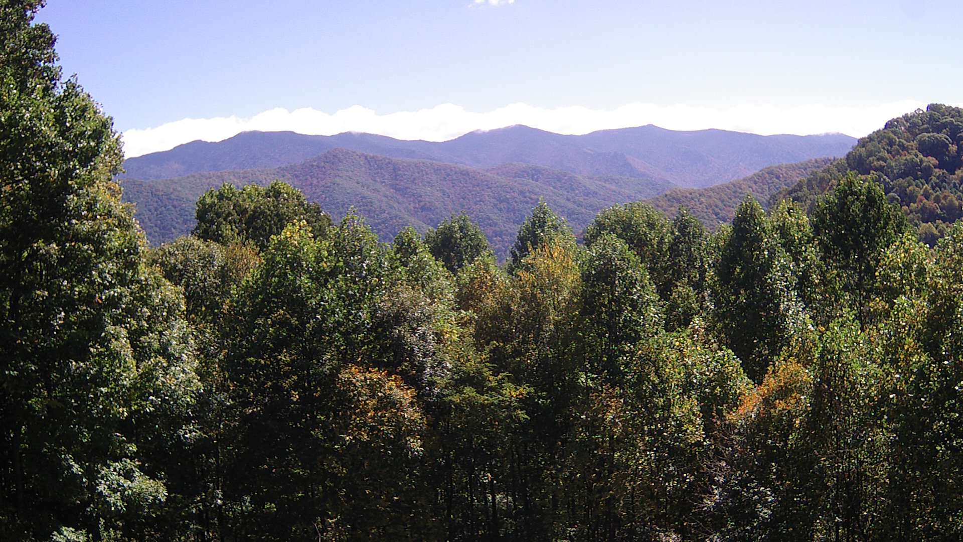 click for next image... slideshow image