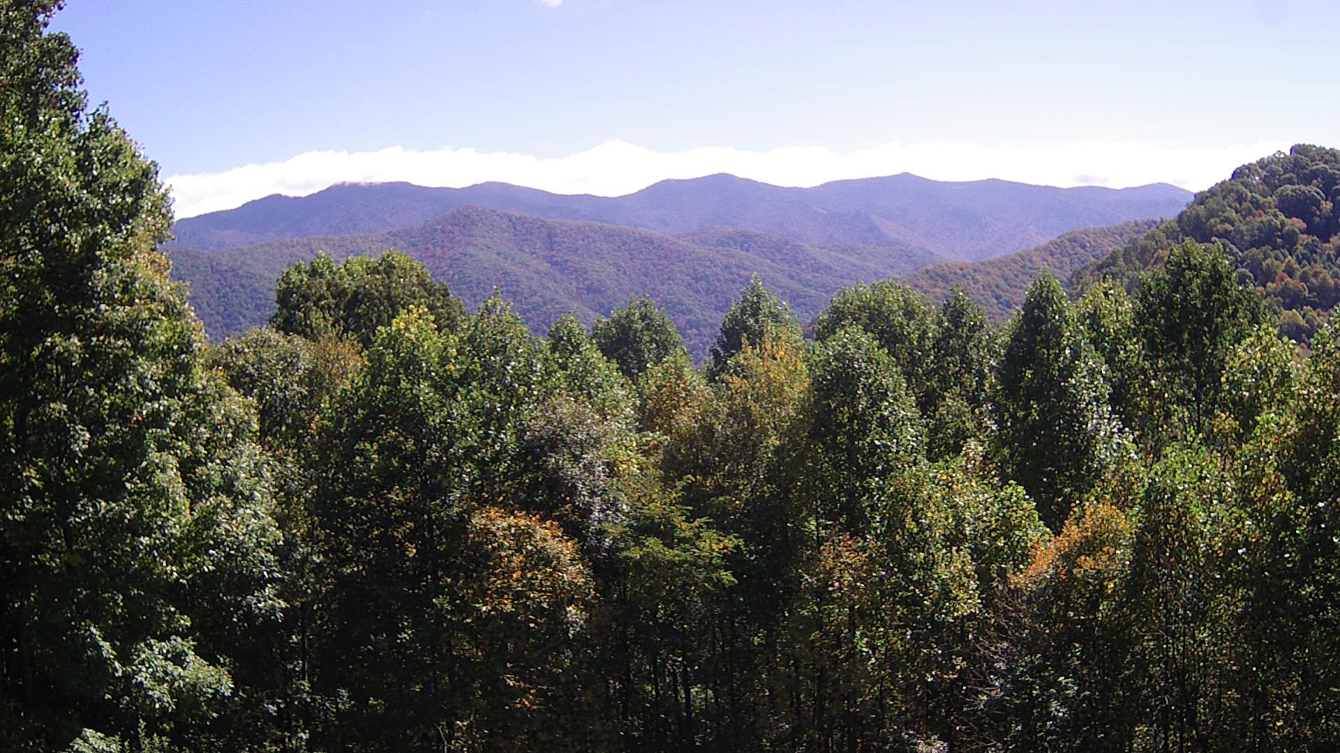 click for next image... slideshow image