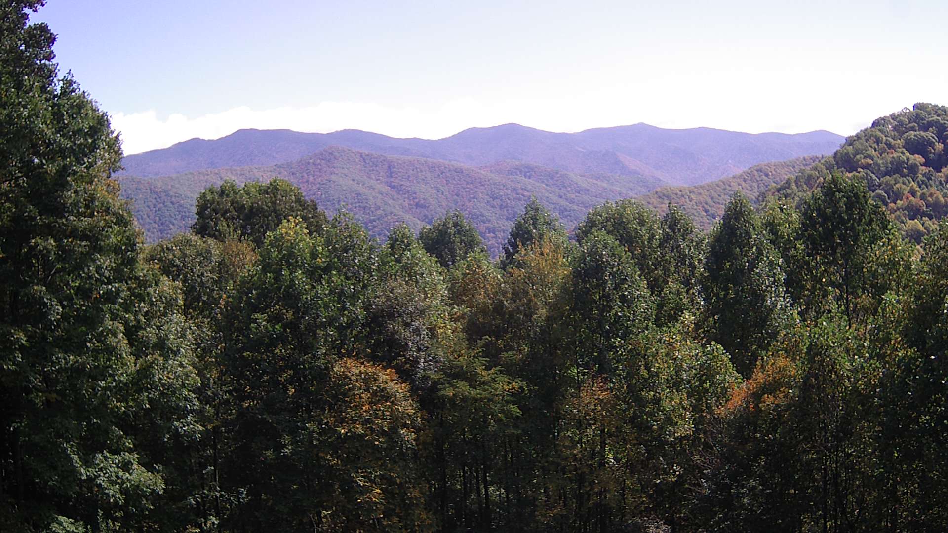 click for next image... slideshow image