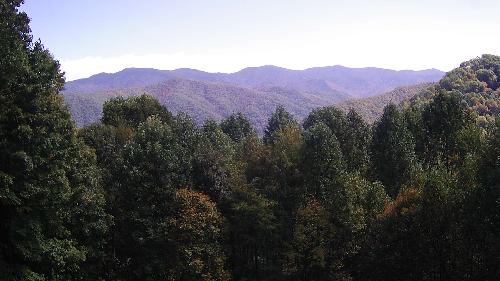 click for next image... slideshow image