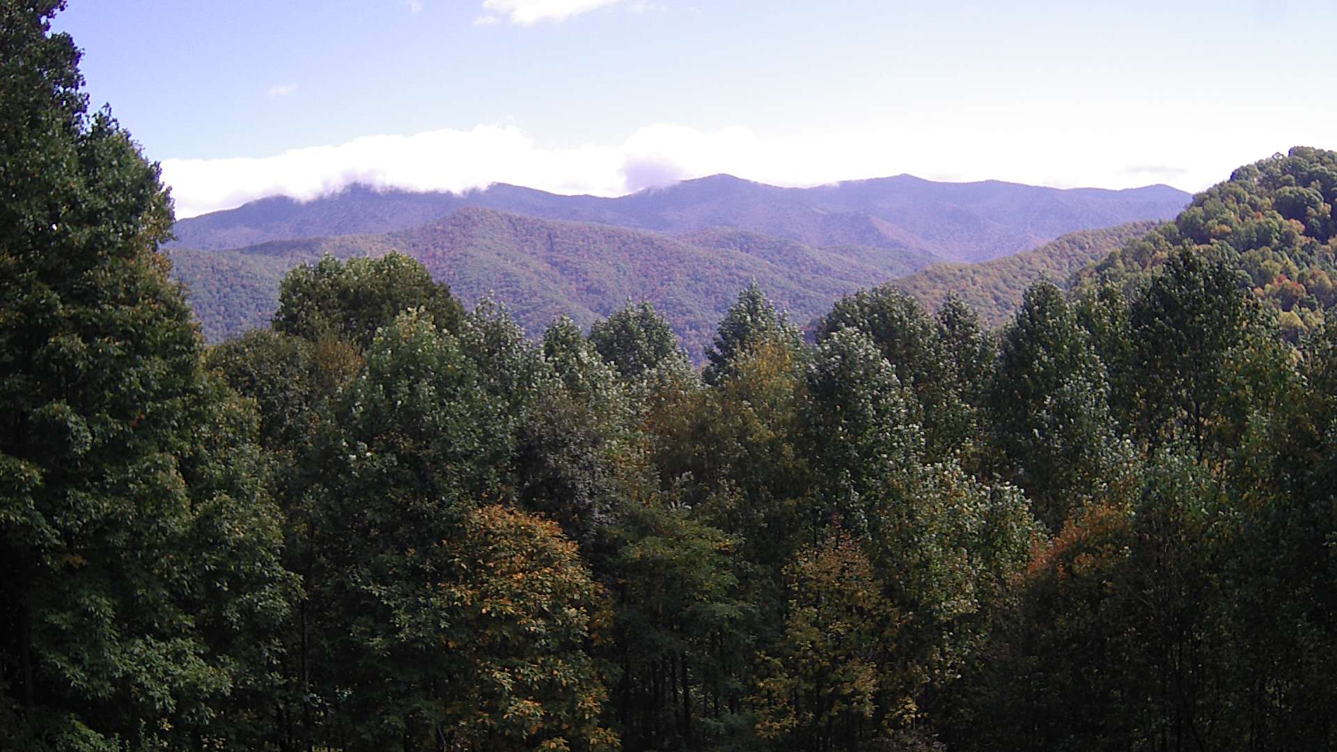 click for next image... slideshow image