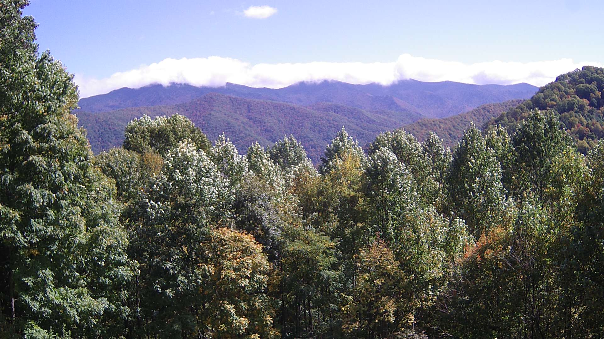 click for next image... slideshow image