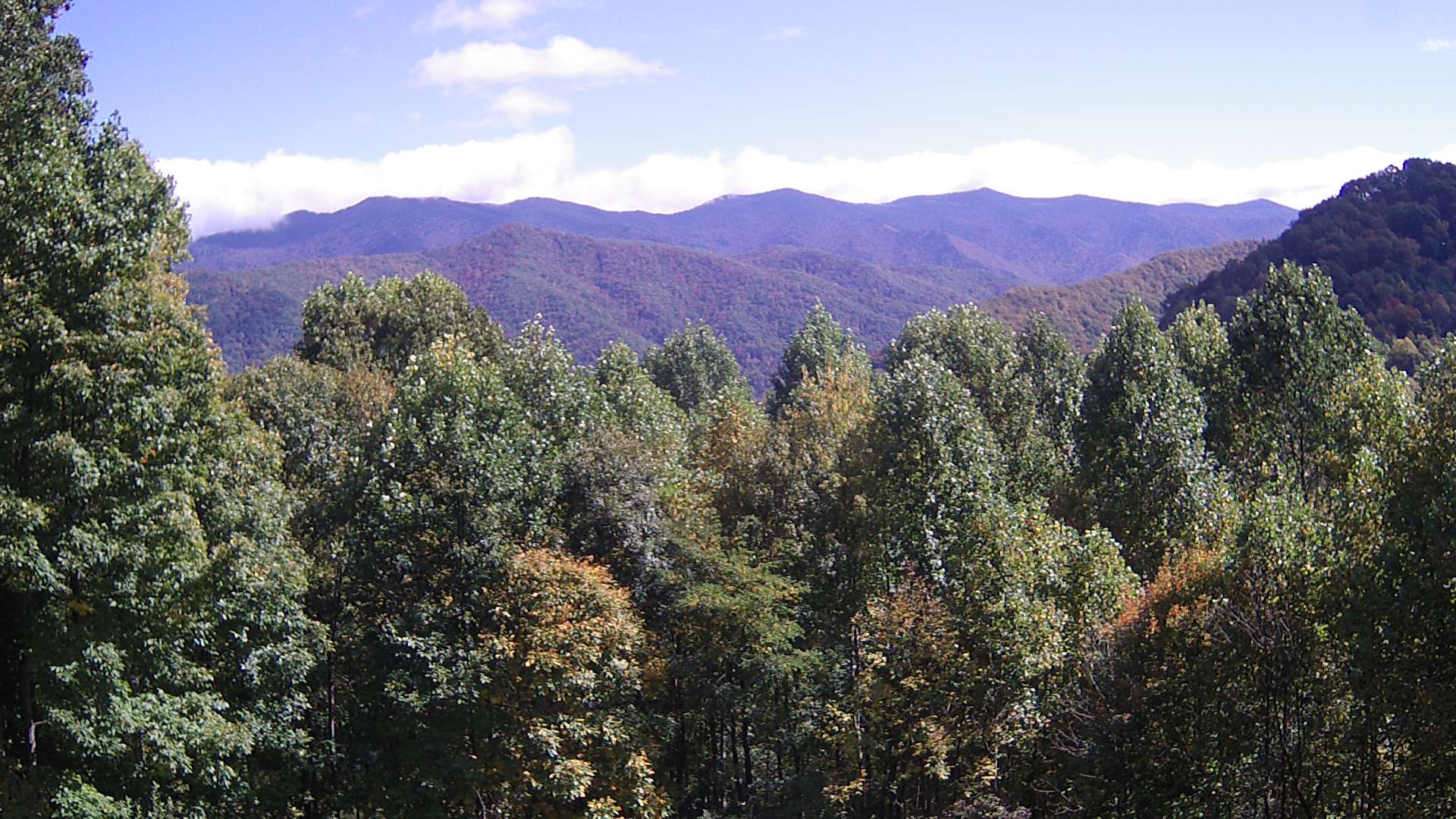 click for next image... slideshow image