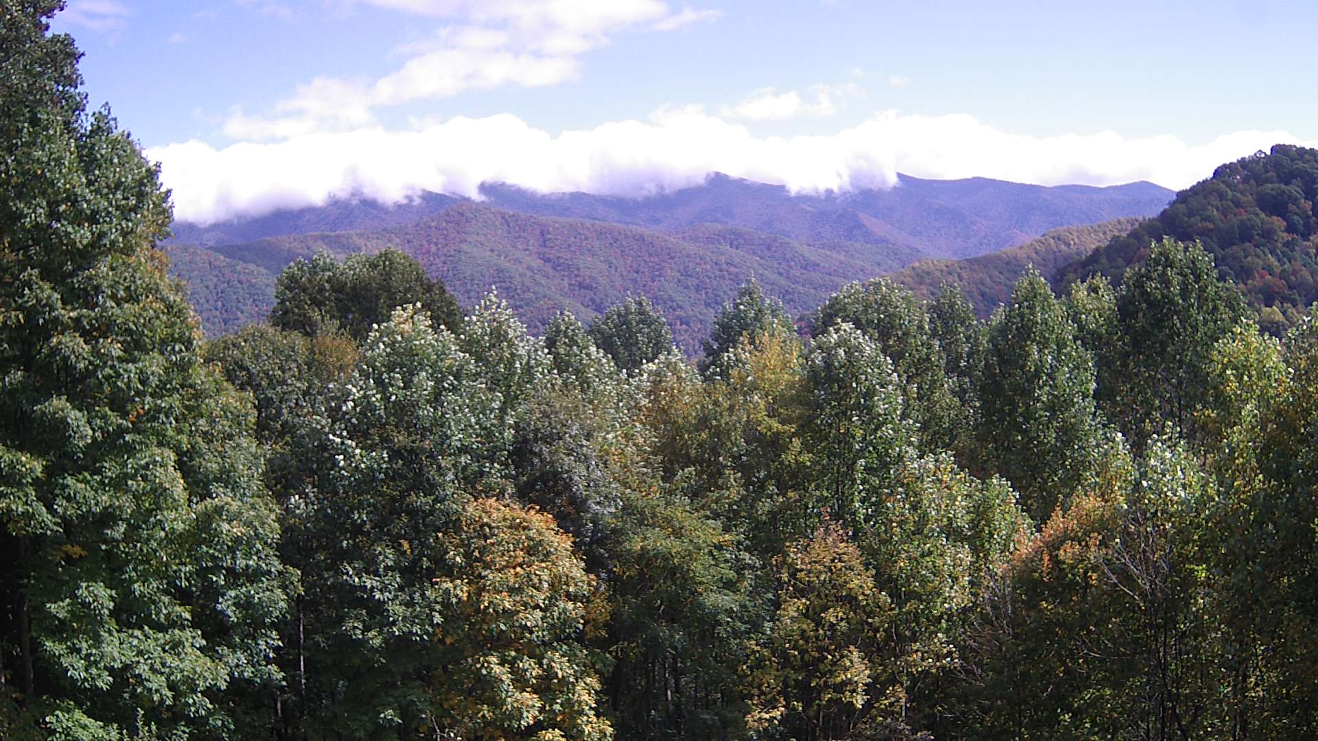 click for next image... slideshow image