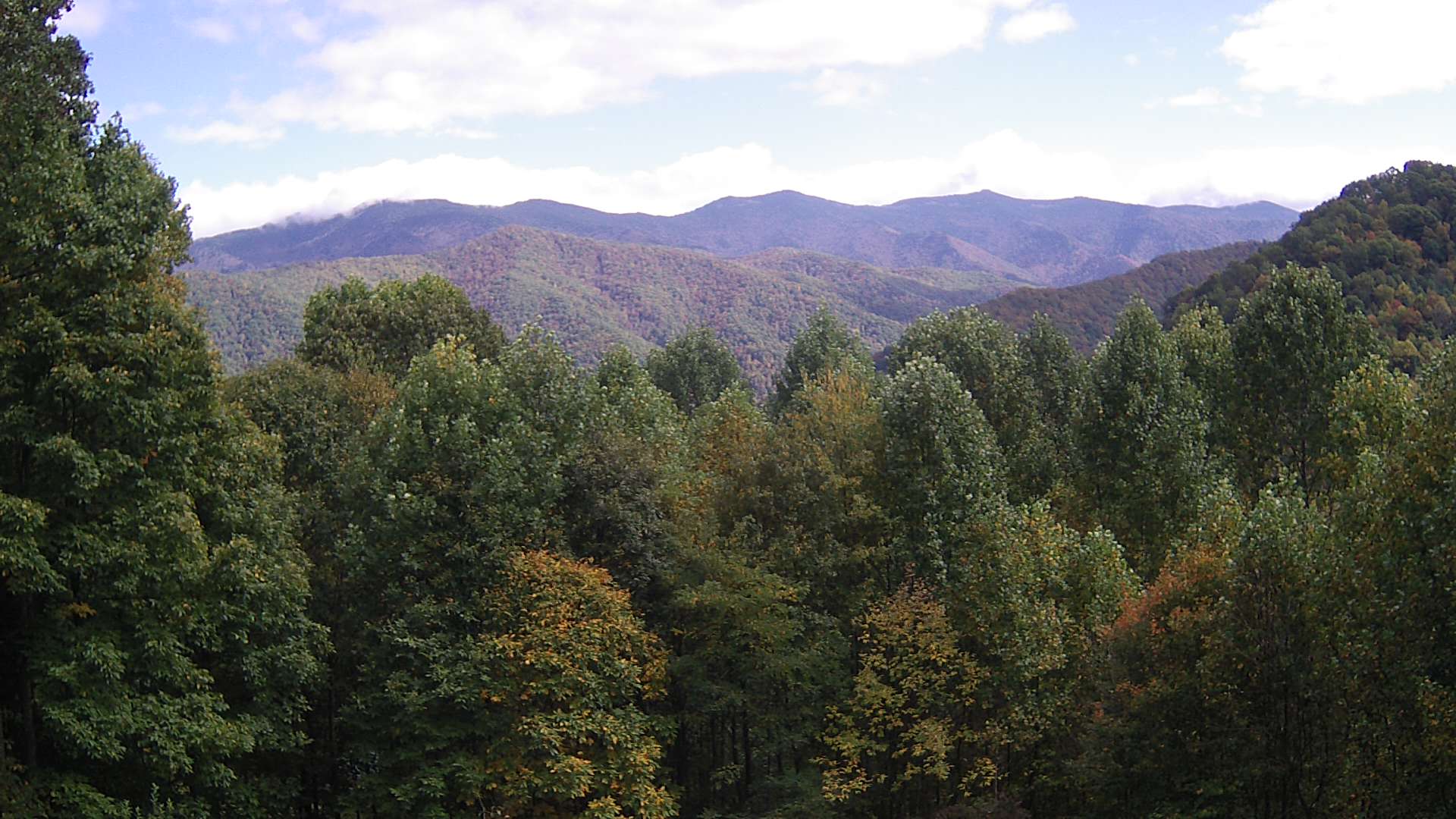 click for next image... slideshow image