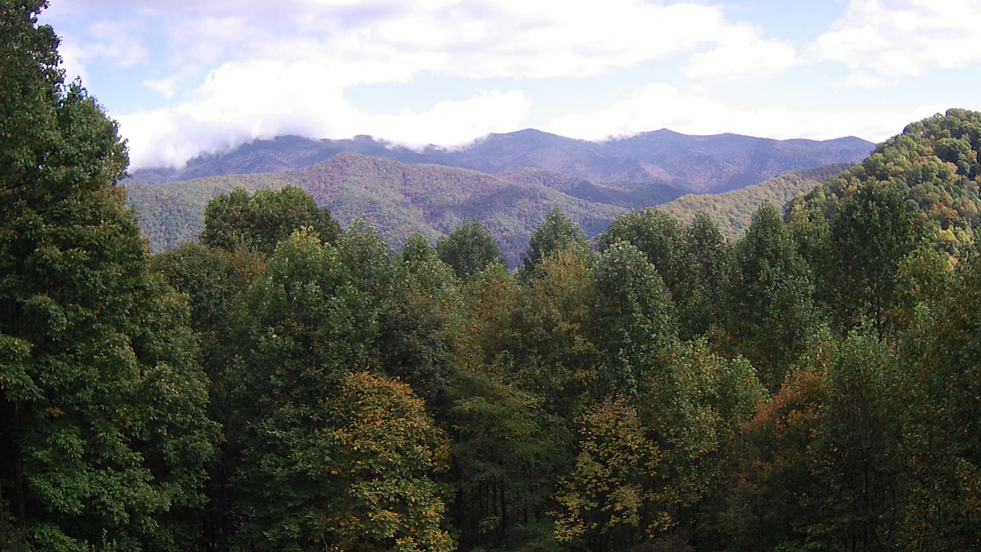 click for next image... slideshow image