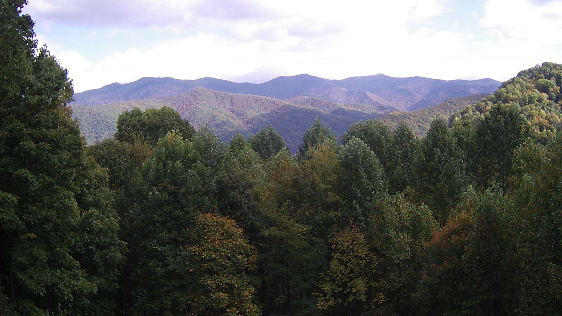 click for next image... slideshow image