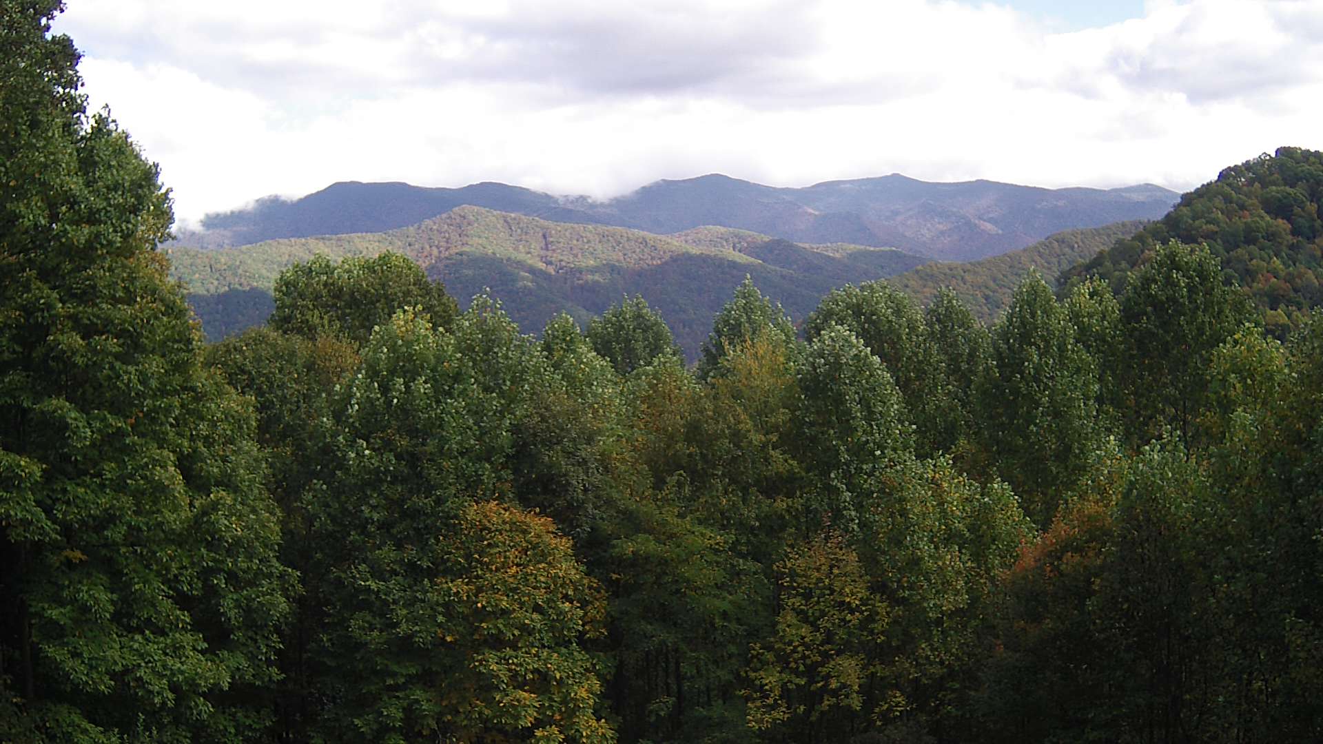 click for next image... slideshow image