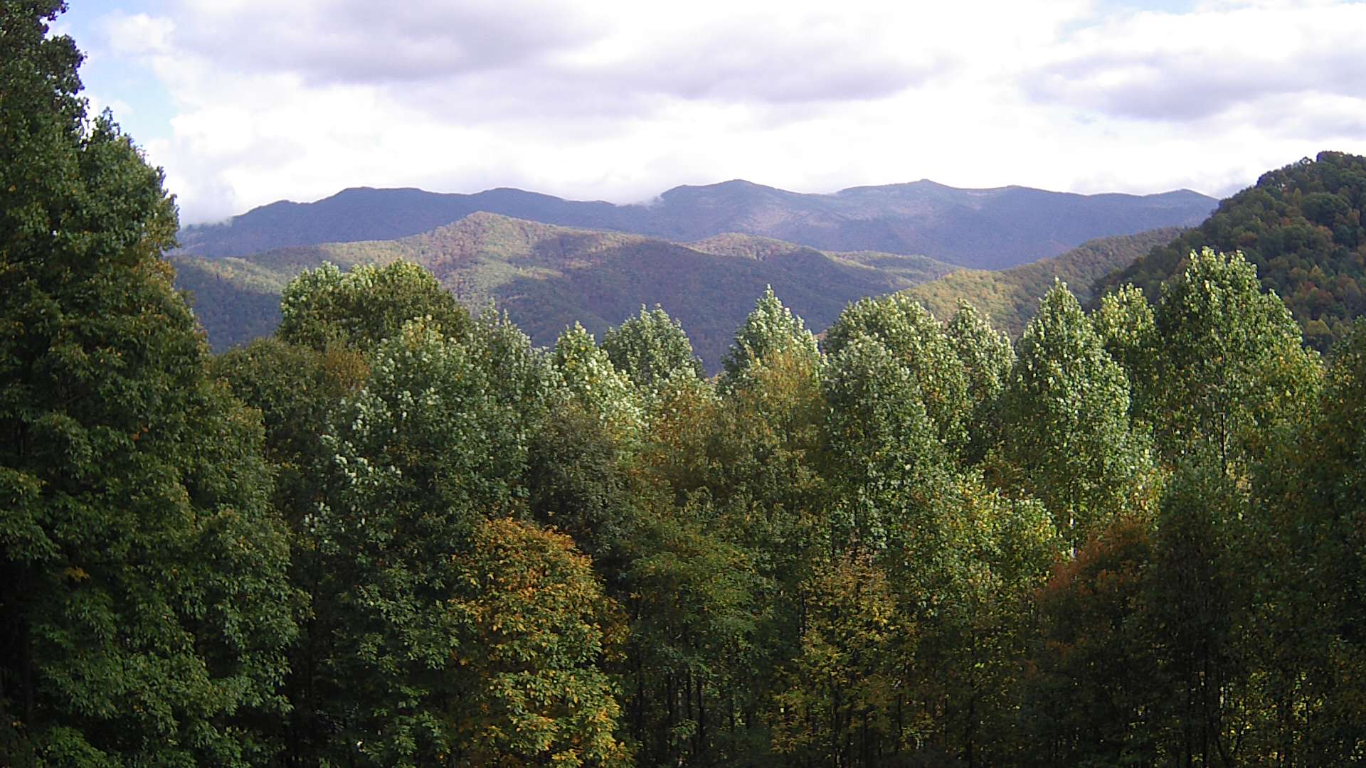 click for next image... slideshow image