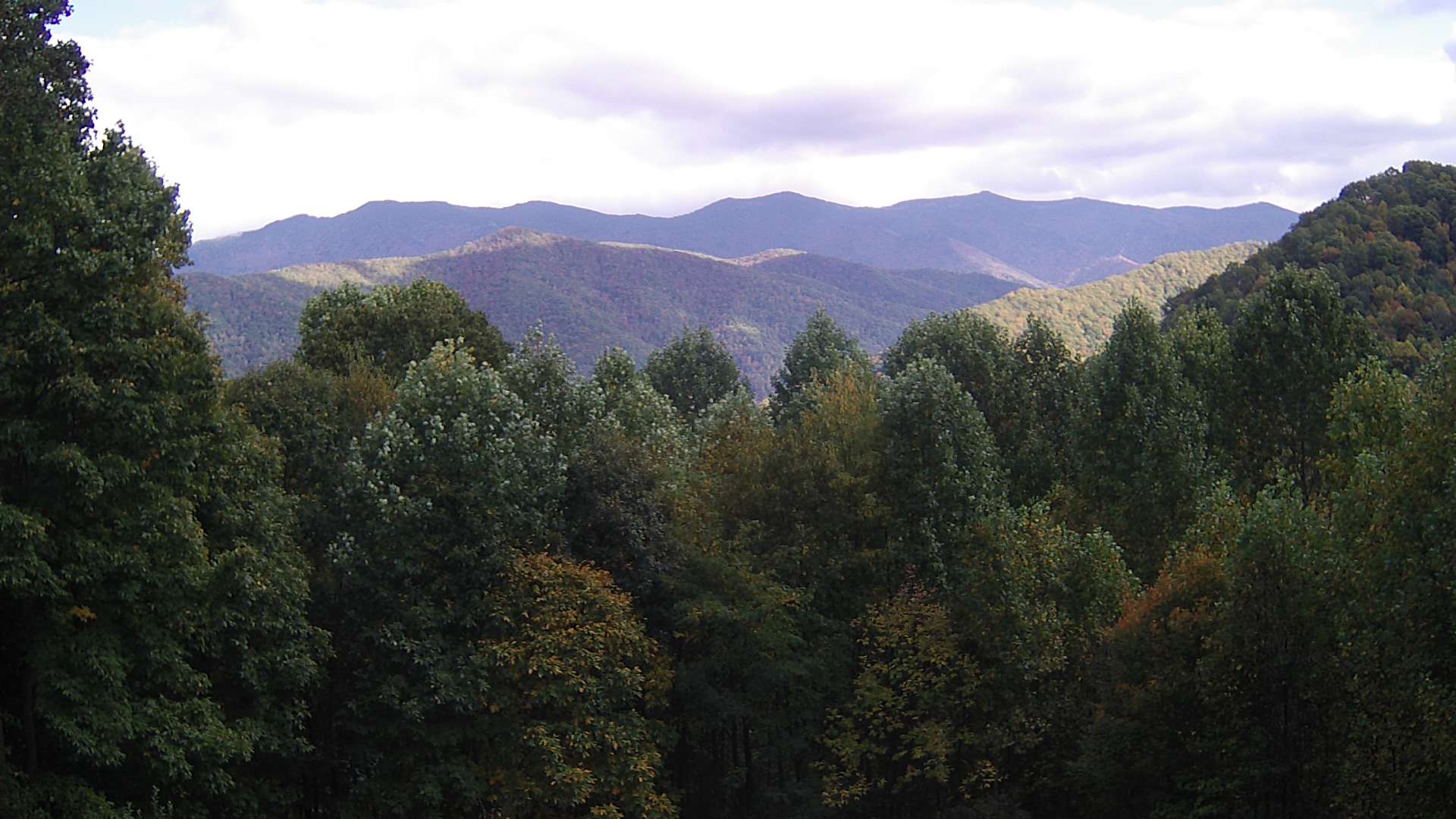 click for next image... slideshow image