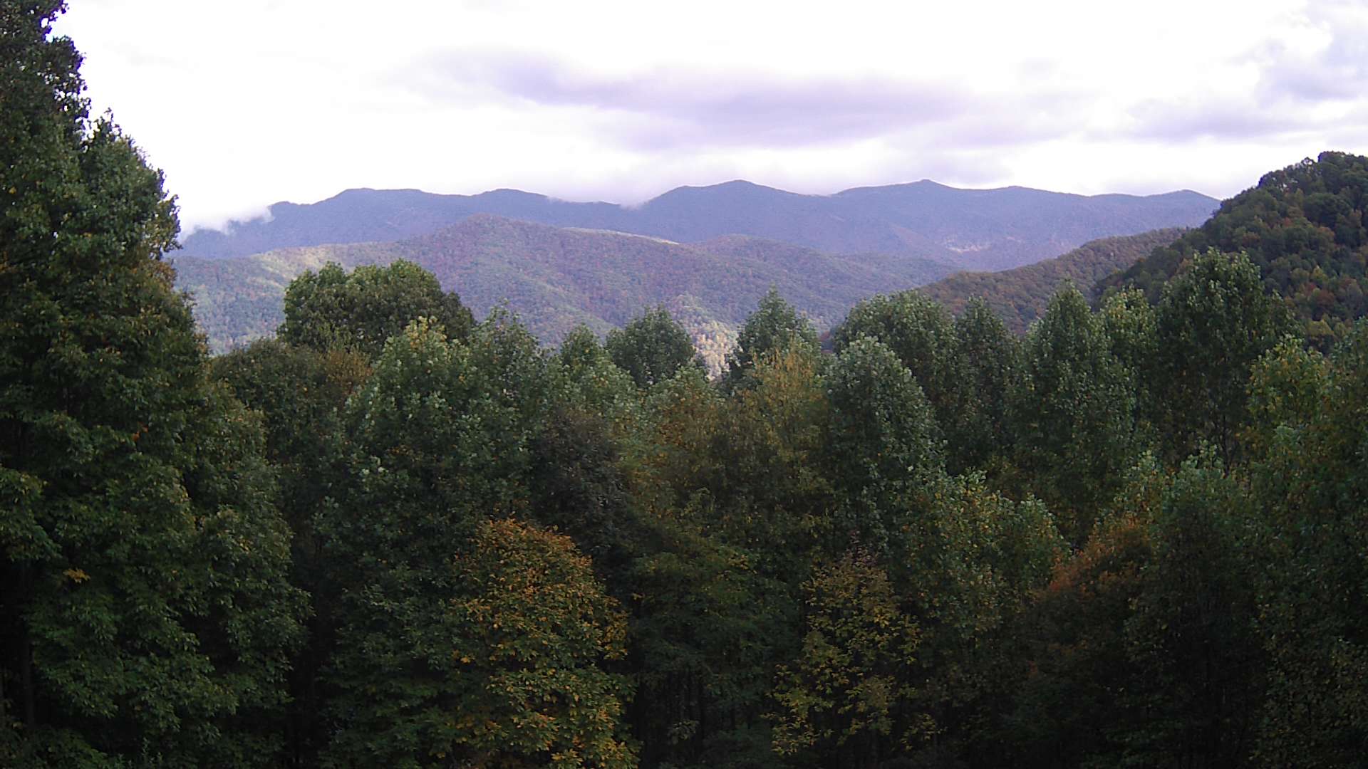 click for next image... slideshow image