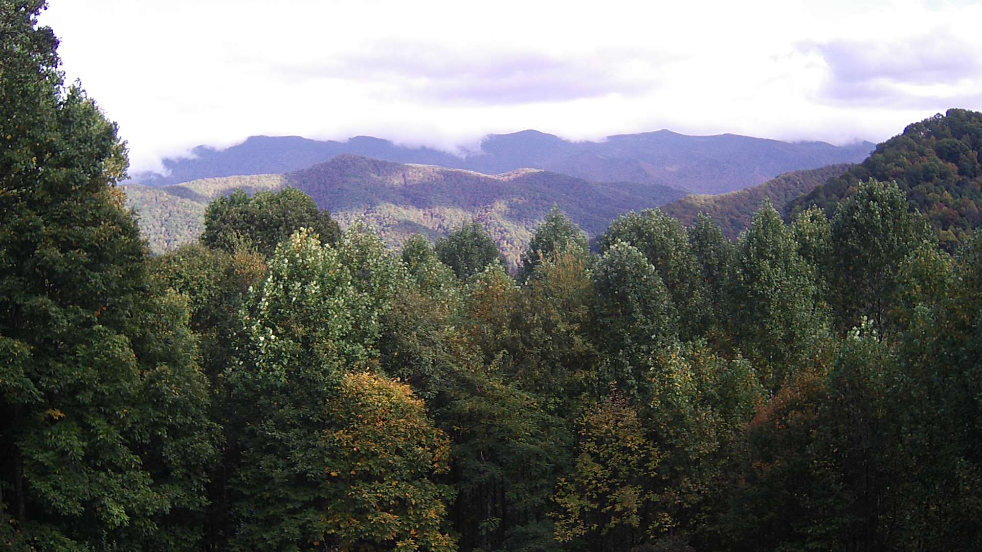 click for next image... slideshow image