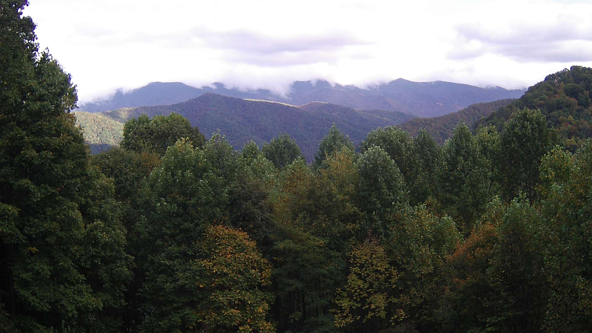 click for next image... slideshow image