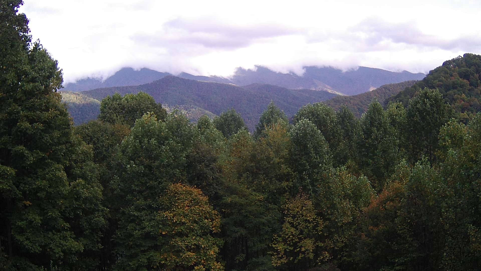 click for next image... slideshow image