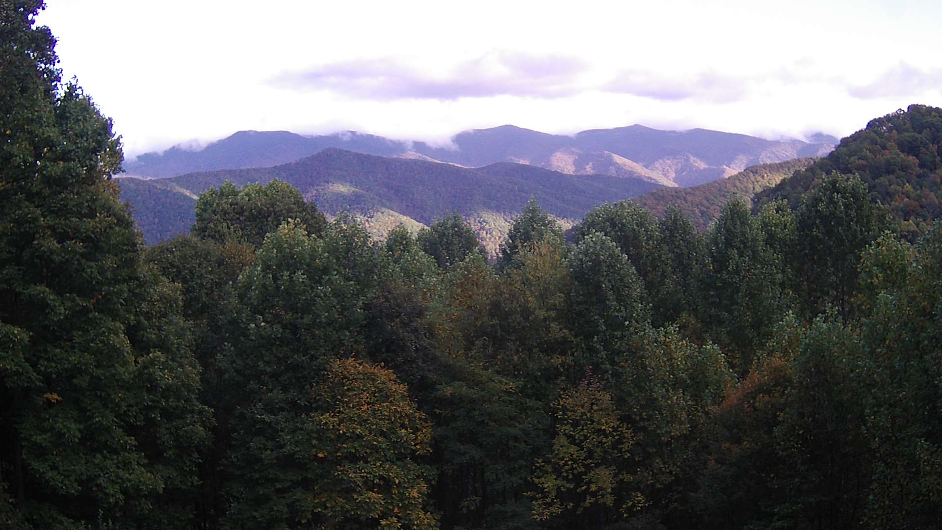 click for next image... slideshow image