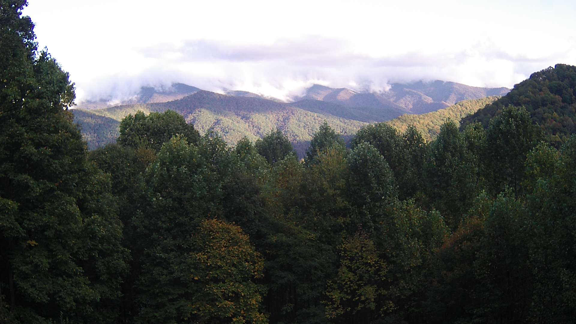 click for next image... slideshow image