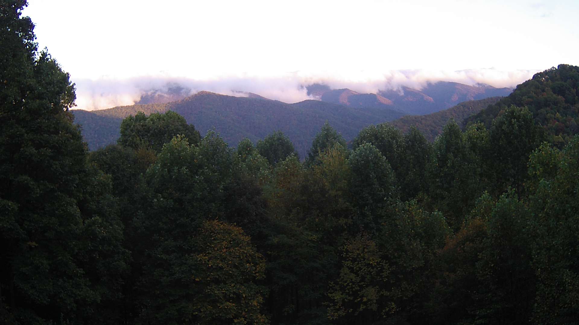 click for next image... slideshow image