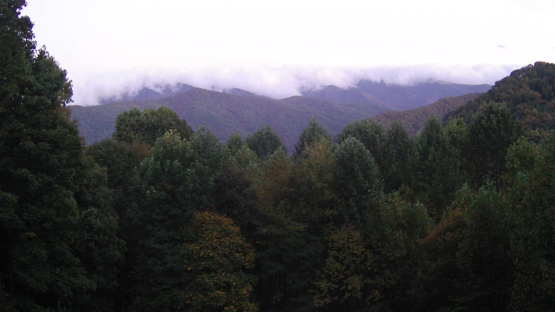 click for next image... slideshow image