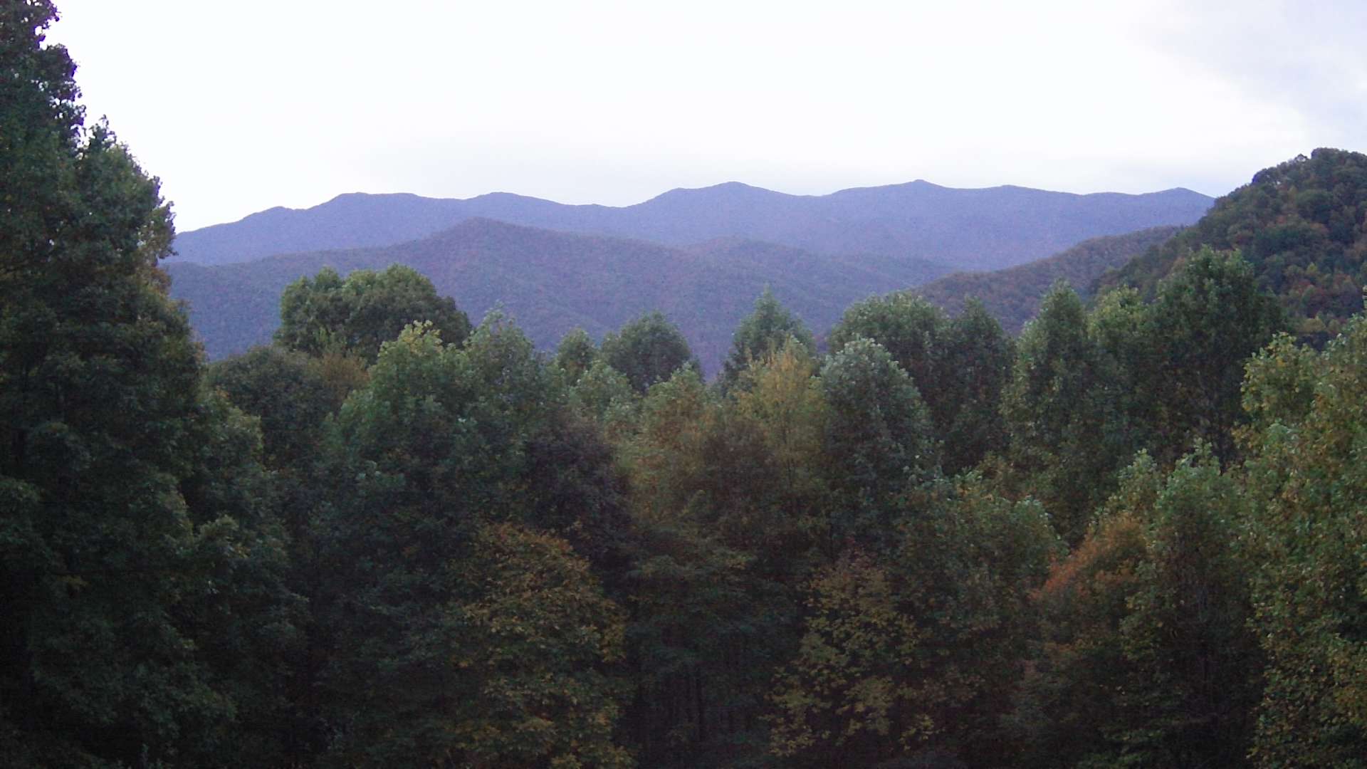 click for next image... slideshow image