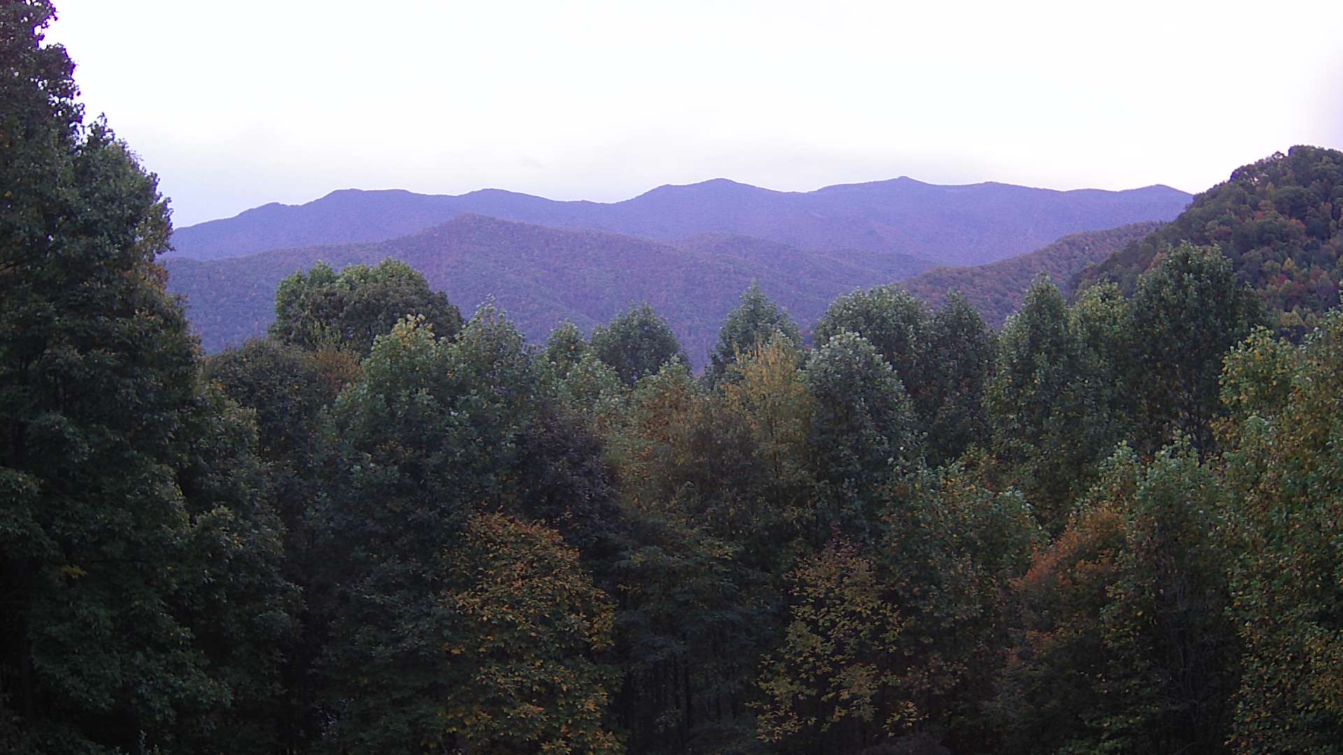 click for next image... slideshow image