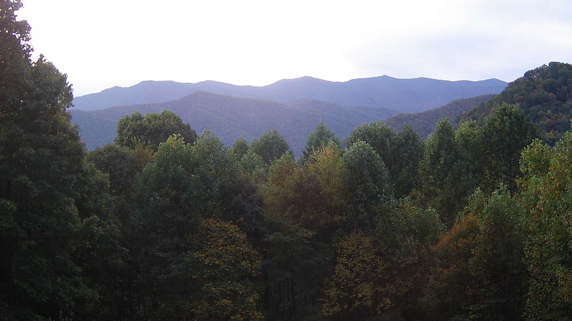 click for next image... slideshow image