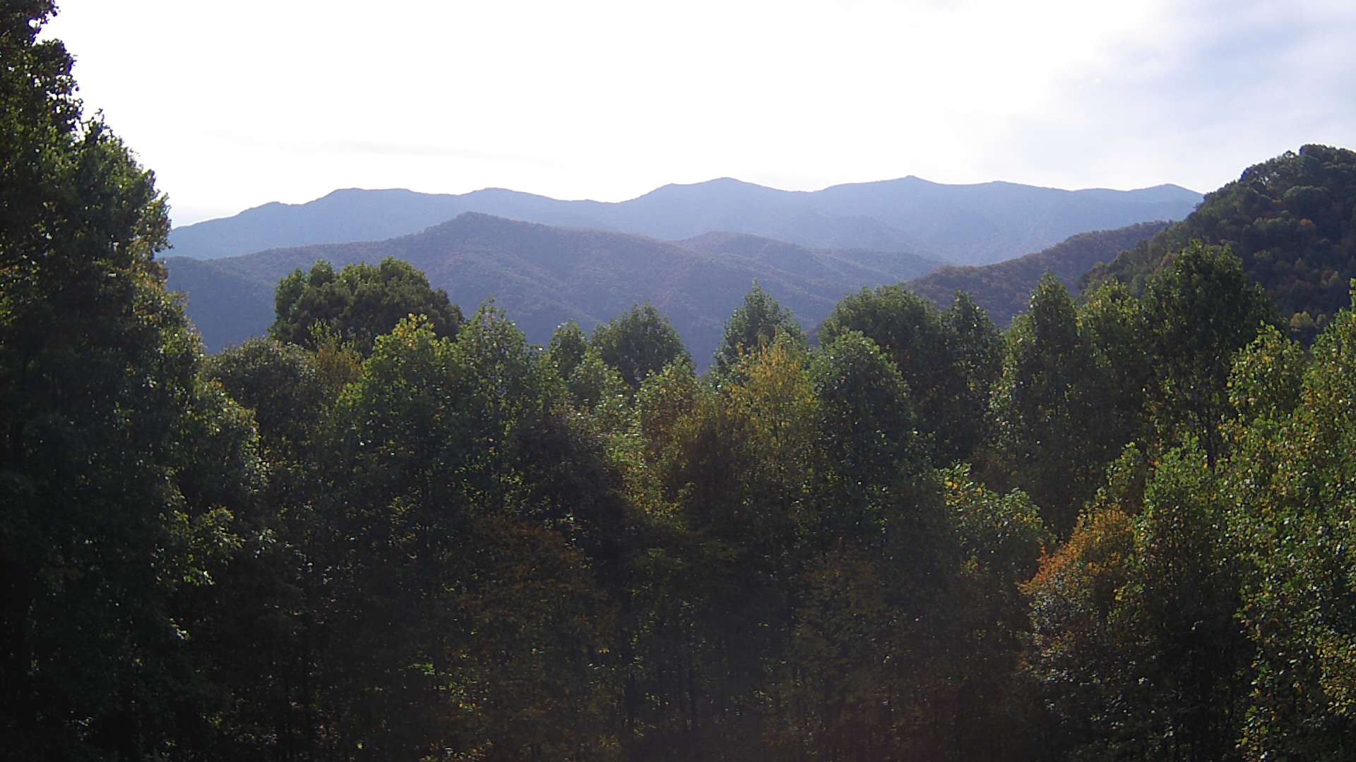 click for next image... slideshow image