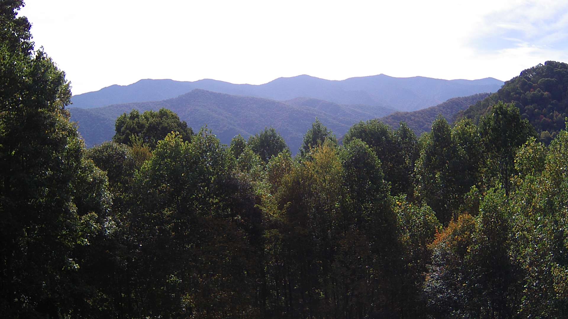 click for next image... slideshow image