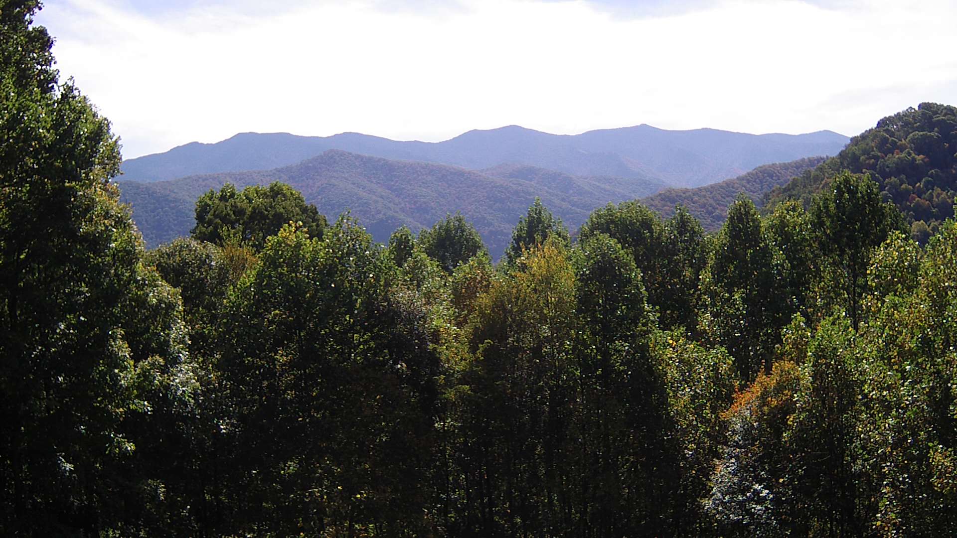 click for next image... slideshow image