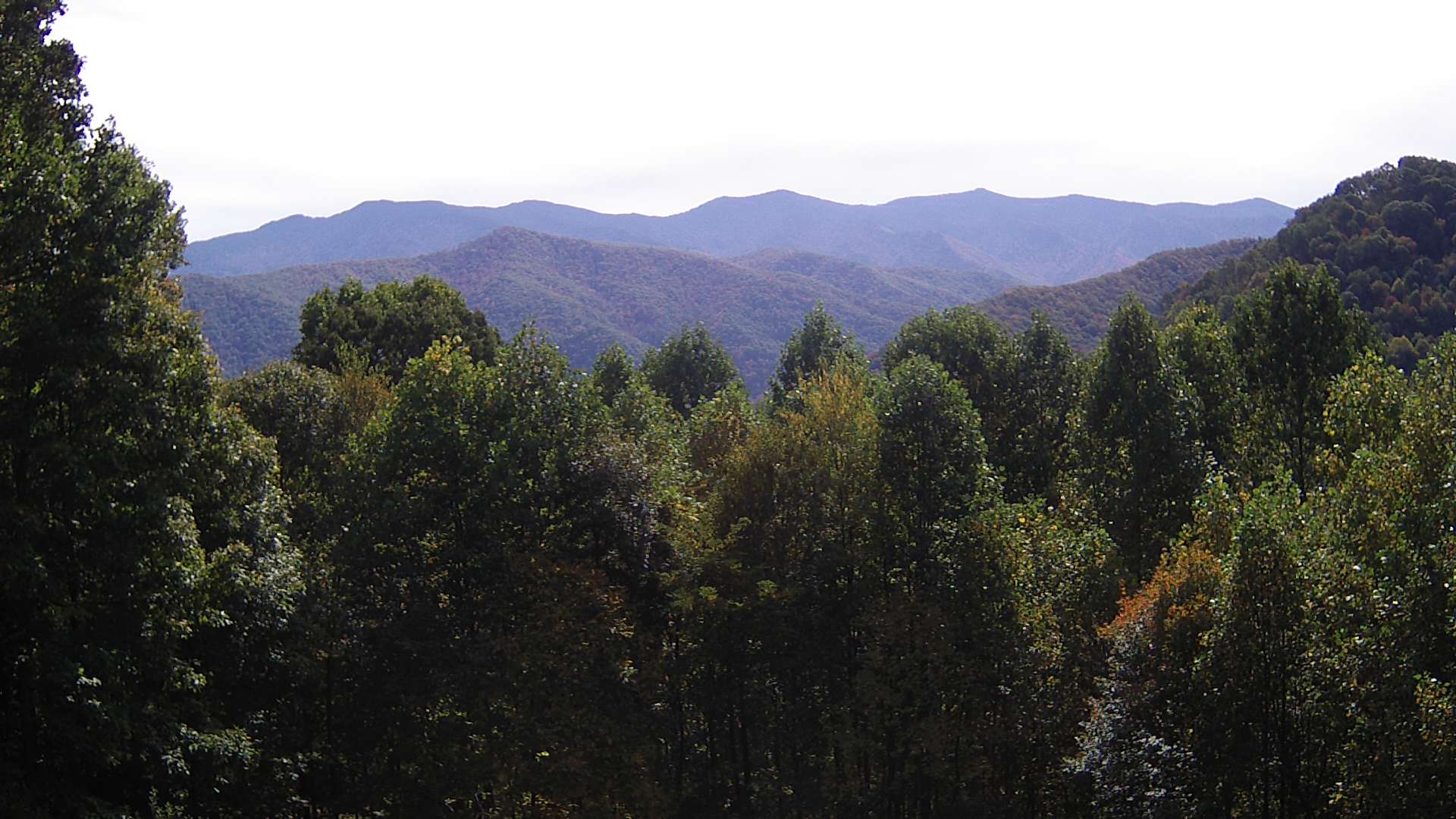 click for next image... slideshow image