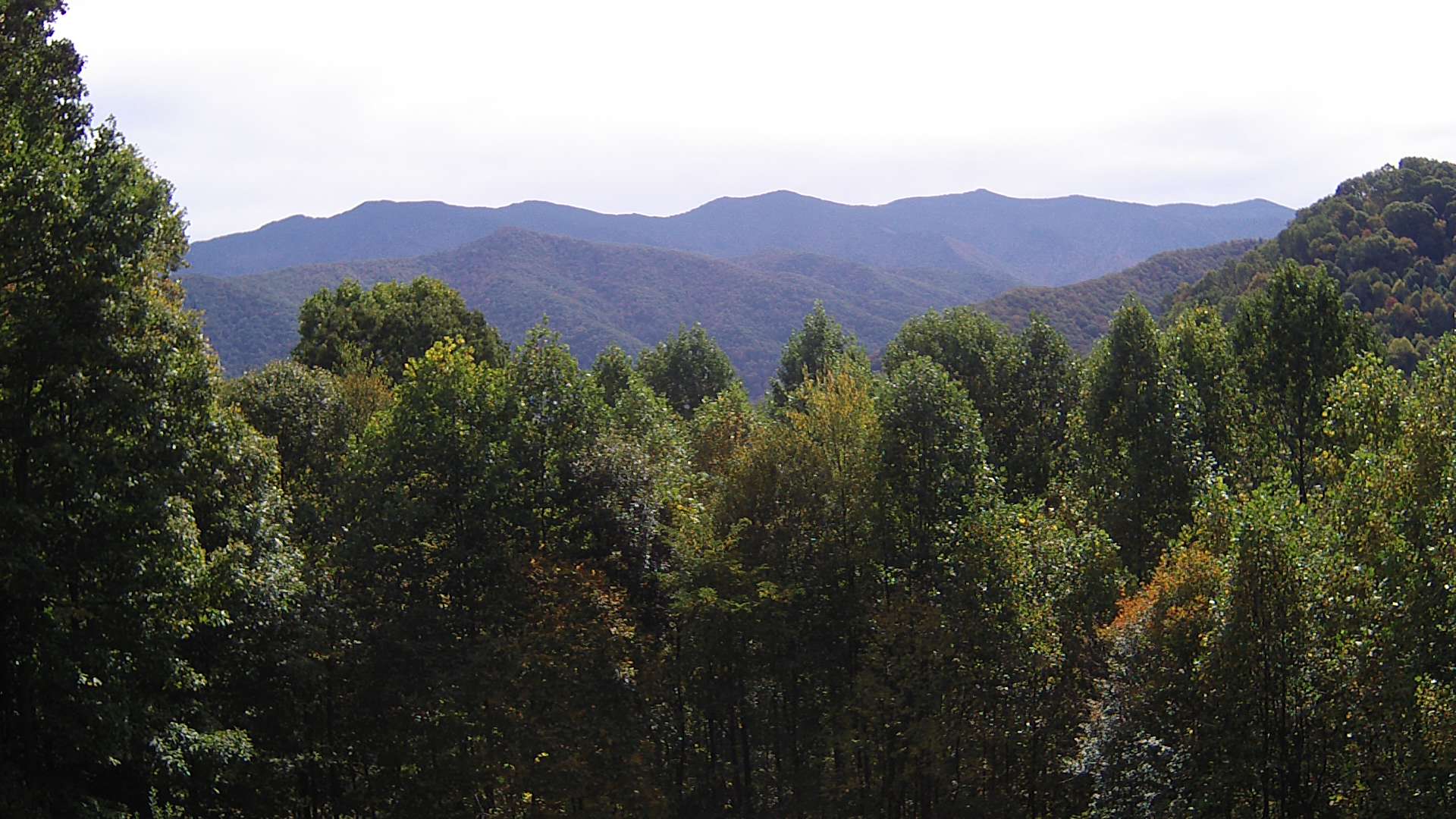 click for next image... slideshow image