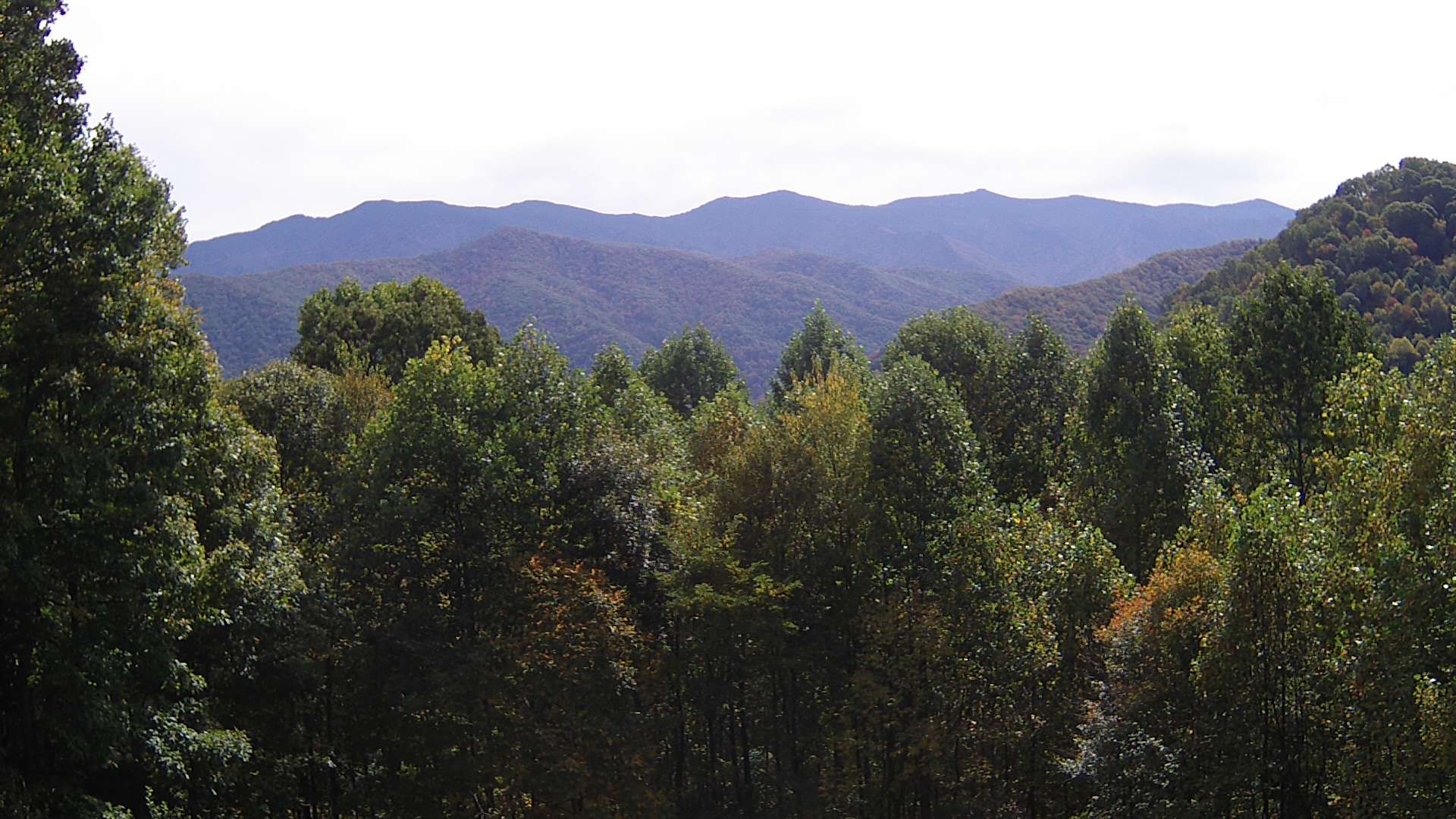 click for next image... slideshow image