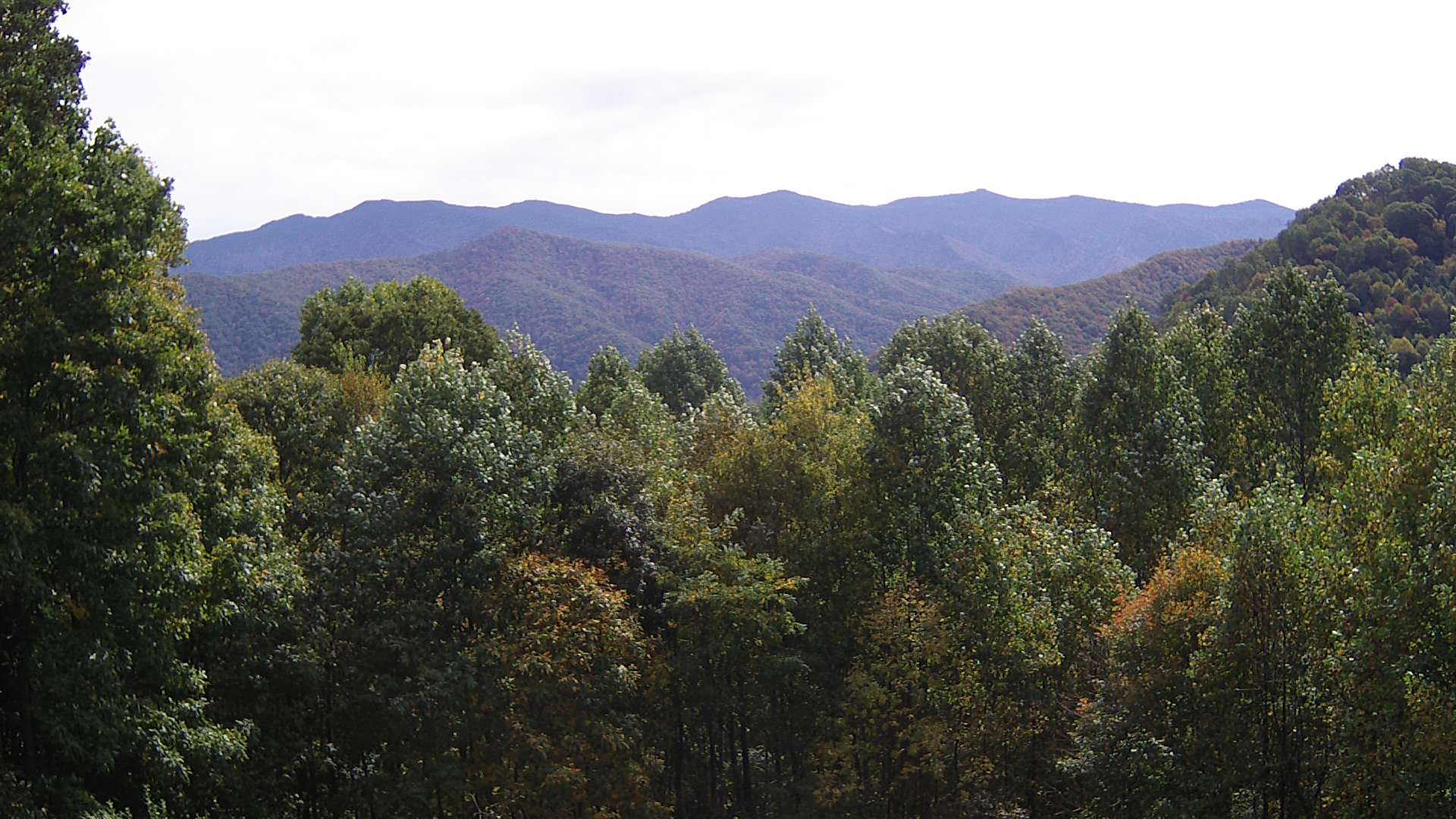 click for next image... slideshow image