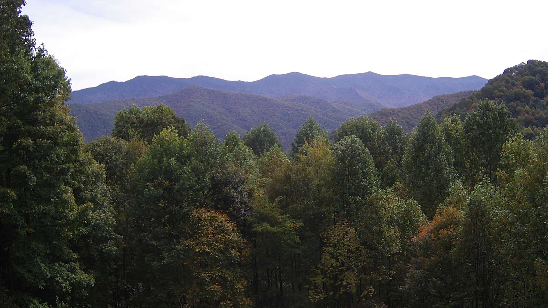 click for next image... slideshow image