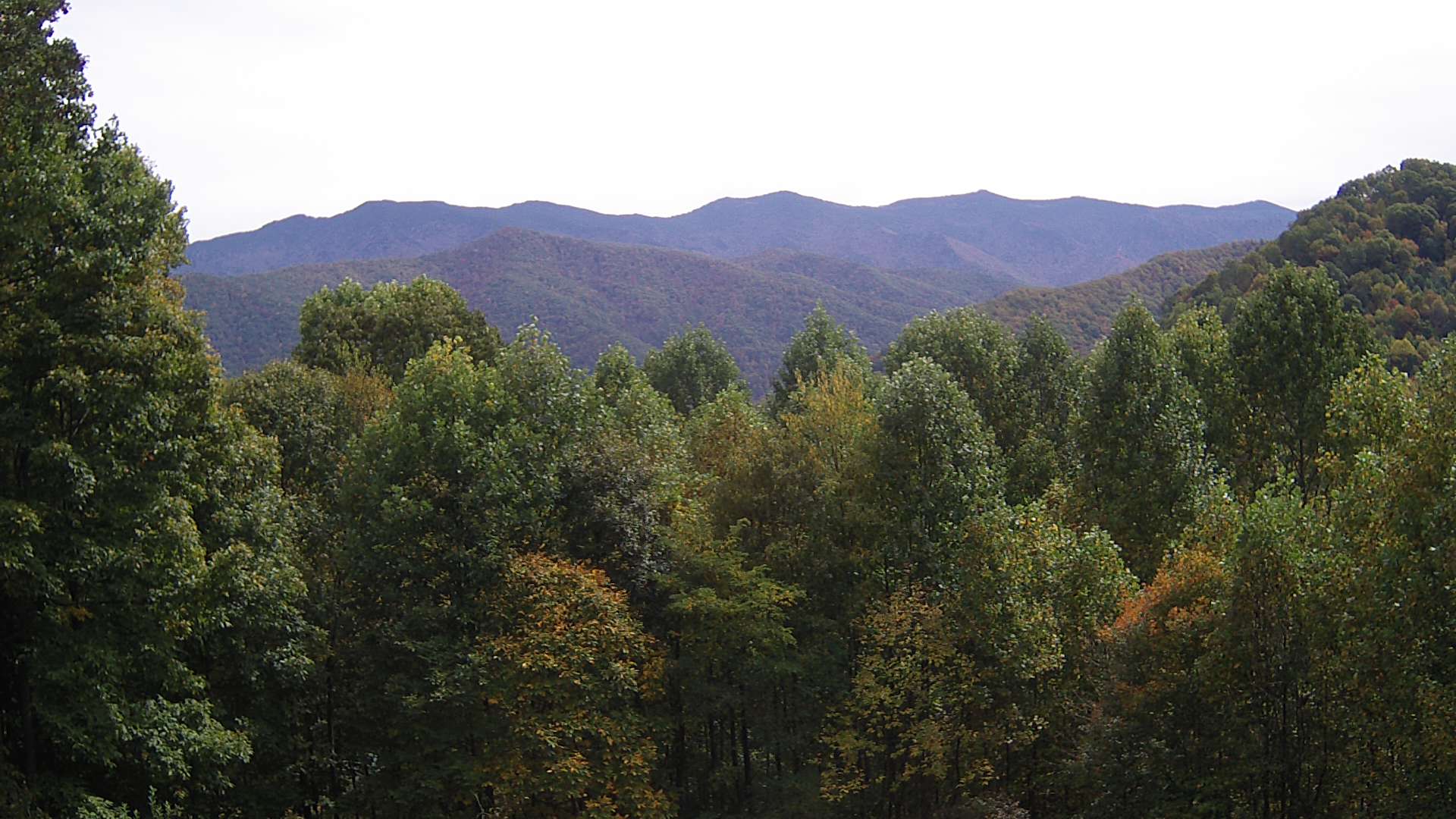 click for next image... slideshow image