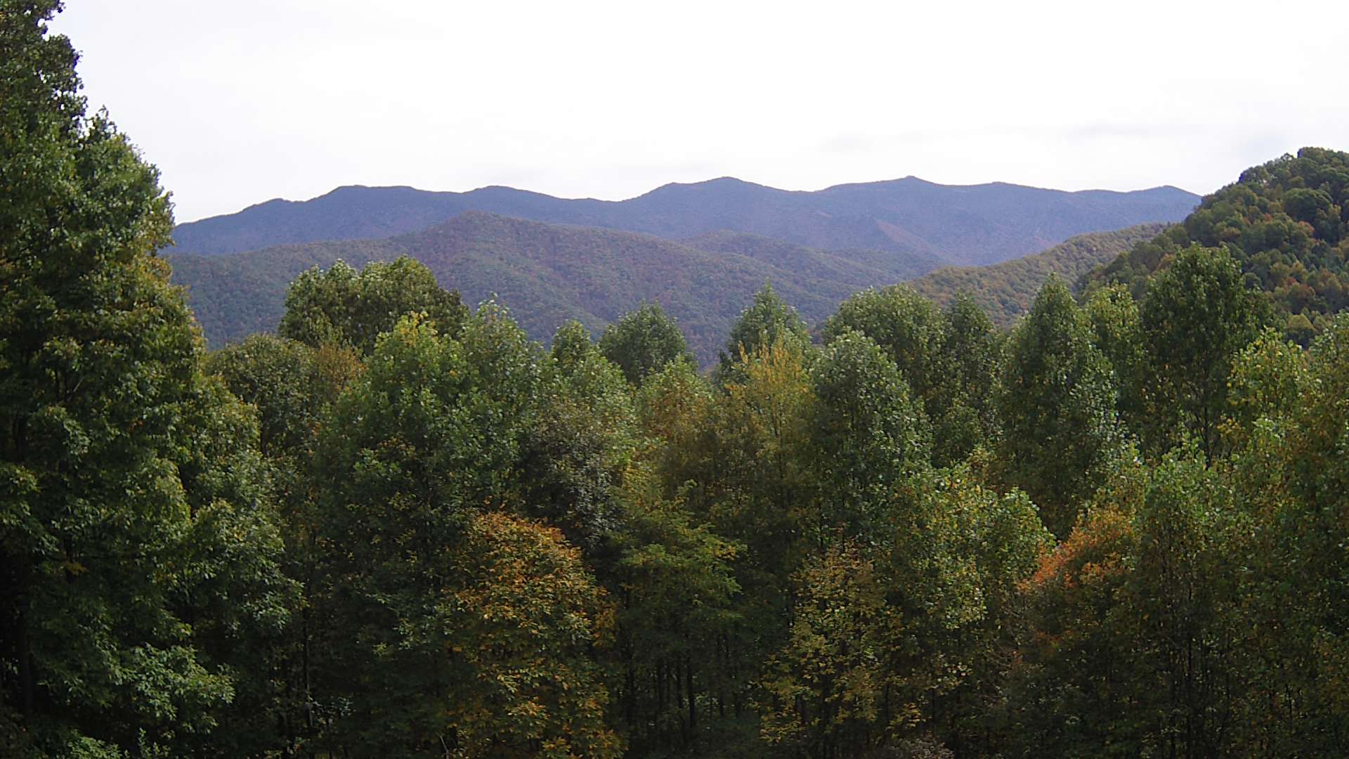 click for next image... slideshow image