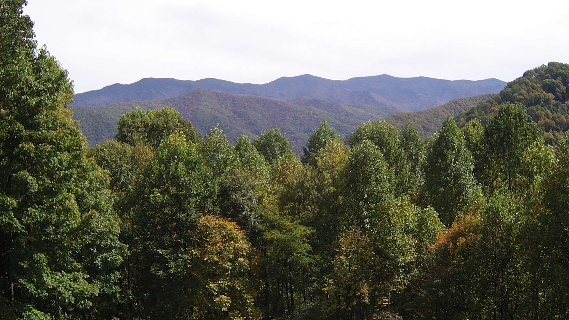 click for next image... slideshow image