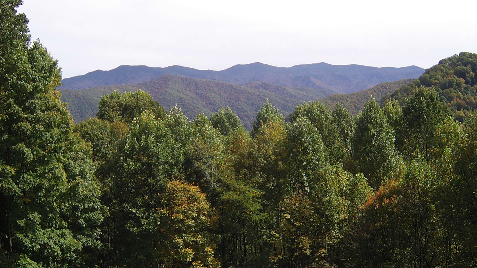 click for next image... slideshow image