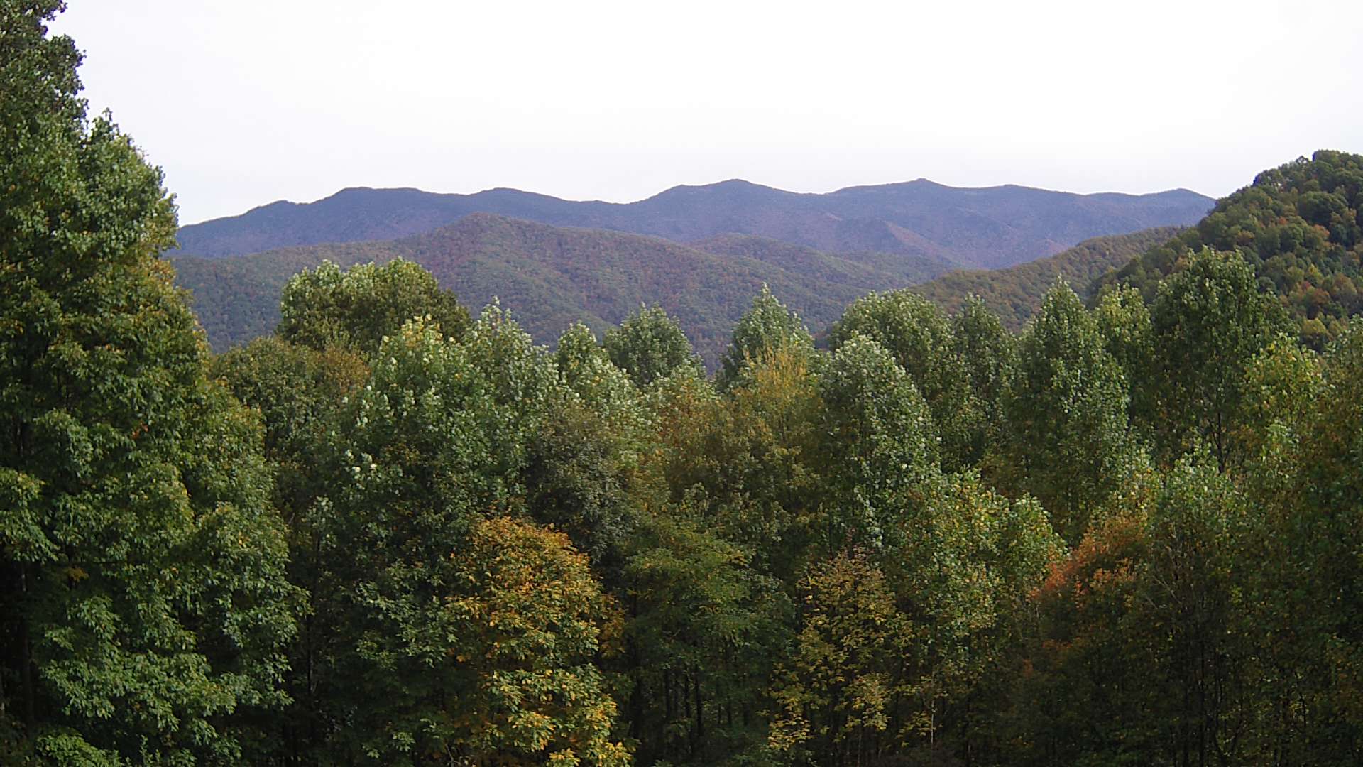 click for next image... slideshow image