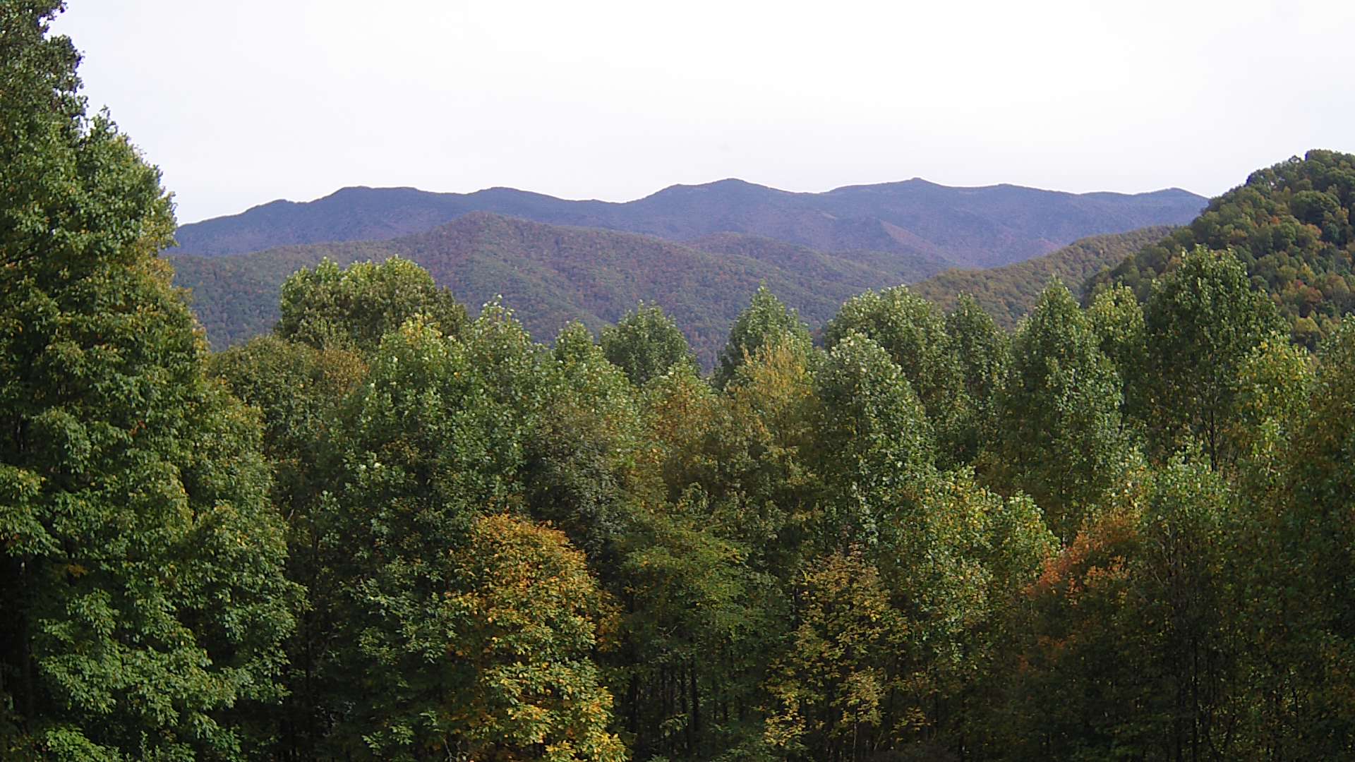 click for next image... slideshow image